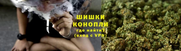 бошки Медногорск
