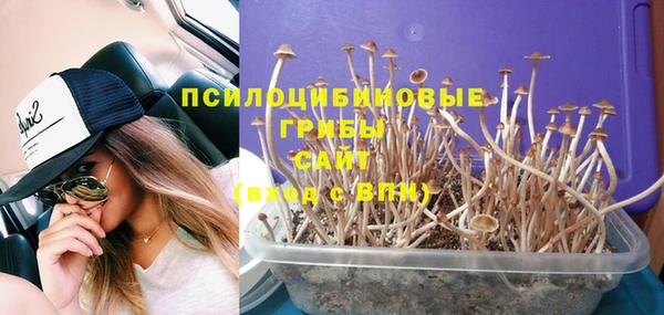 каннабис Медвежьегорск