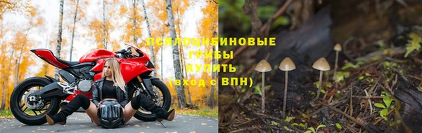 прущая мука Мегион