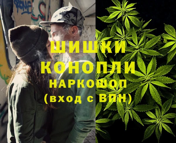 бошки Медногорск