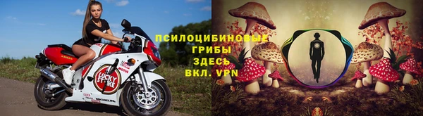 бошки Медногорск