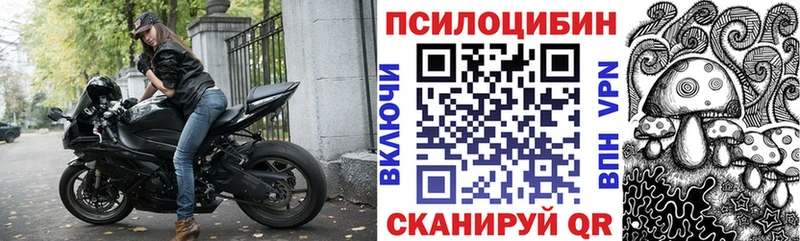 сколько стоит  Александровск-Сахалинский  Псилоцибиновые грибы Magic Shrooms 